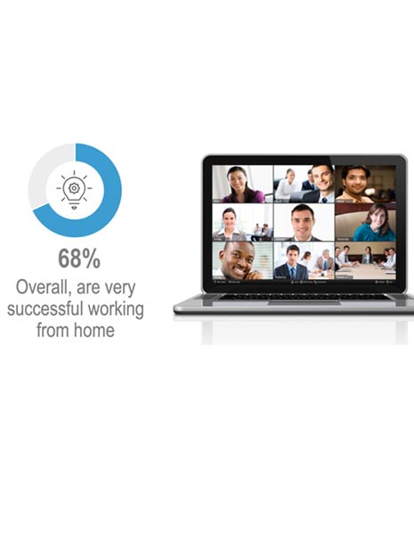 Global Work-from-Home Experience Survey Report (2020)