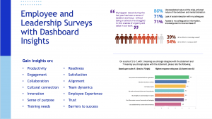 Workplace strategy surveys